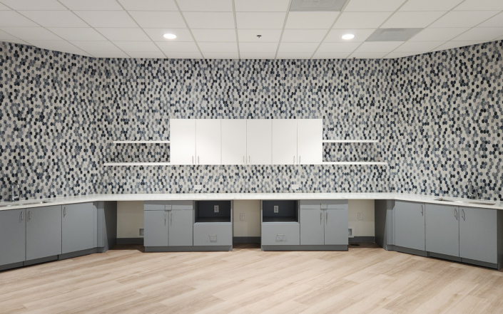 Ansell Interior Renovation Design Build 3
